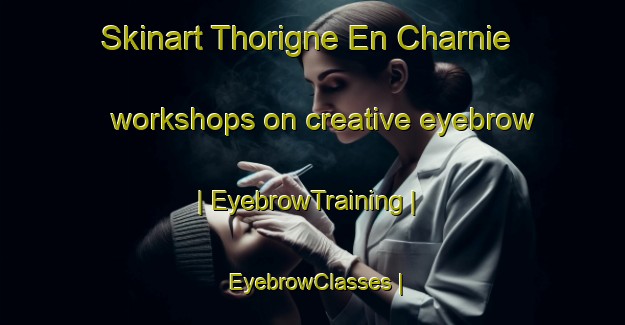 Skinart Thorigne En Charnie workshops on creative eyebrow | EyebrowTraining | EyebrowClasses | SkinartTraining-France
